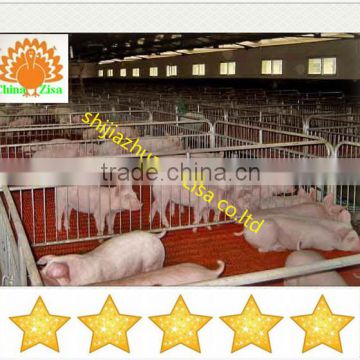 pig sow cage hot sale