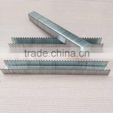 A11 Staples,Arrow T50 Divergent Staples