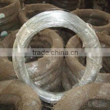 Galvanized binding wire/Flat wire type galvanized iron wire for construction                        
                                                Quality Choice