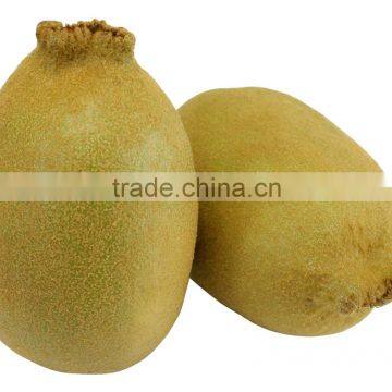 Kiwi Fruit photo-3