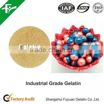 2015 china factory supply fresh industrial gelatin