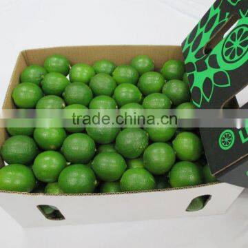 Vietnam Fresh Seedless Lime