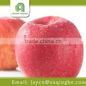 apple fruit, fuji apple from china