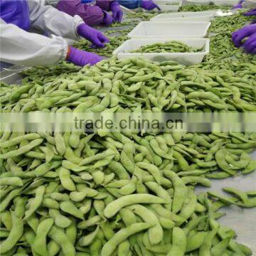 IQF Edamame /soy beans in pods