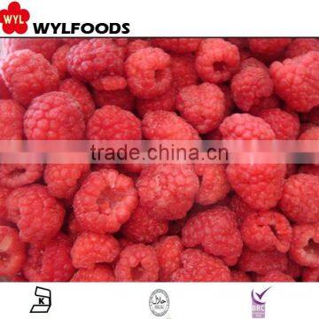 IQF frozen raspberry