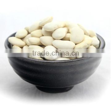 Chinese large white kidney beans