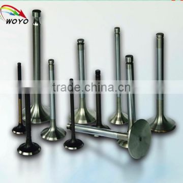 Intake and exhaust valve for single cylinder