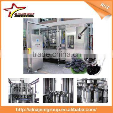 Best Sale Full Automatic Industrial Mulberry Jam Maker Machine High Viscosity Production Line Mulberry Paste photo-4