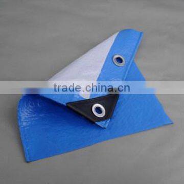 Customized High Quality Chinese Factory Pp/pe Tarpaulin photo-2