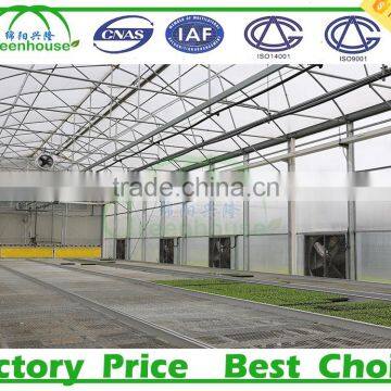 Double Layer Inflation and Film Cover Material Multi Span Prefabricated Greenhouse for Agricultural photo-3