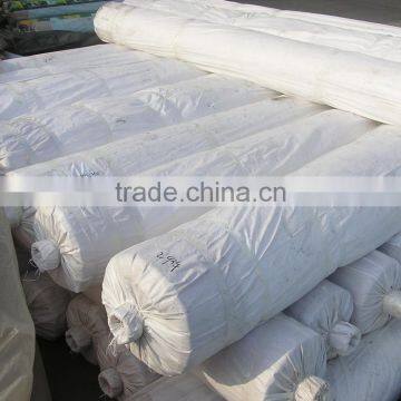 Clear LDPE Mulch Films , Greenhouse Films for Agriculture photo-3