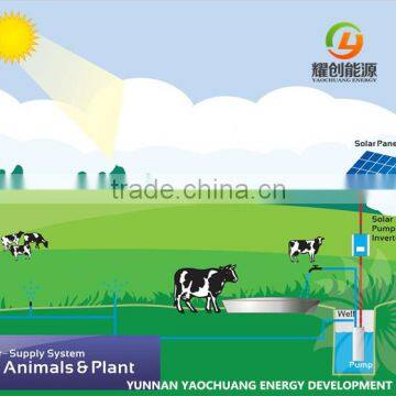 Daily Water Discharge 220 Cubic Meter at 90 m Head 15KW Solar Power Water Pump System for Agriculture Irrigation photo-3