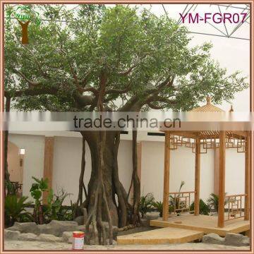 OEM GRC Trunk Banyan Tree Manufacturer photo-6