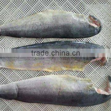 Frozen Mahi-mahi and Coryphaena Hippurus Fillet photo-2