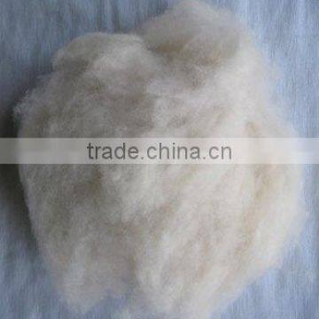 cashmere card waste,sheep wool waste,goat hair waste and carpet grade raw wool