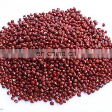 High Pressure Commercial Rice Washing Machine/Kitchen Rice Cleaning Machine photo-6