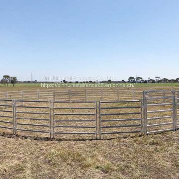 Square Pipe Cattle panels