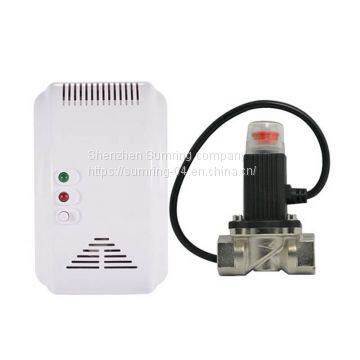 Matching Shut Valve 12v Gas Detector Natural Gas Leak Detector Lpg Gas Detector photo-2