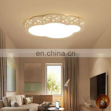 Modern minimalist led ceiling lamp wrought iron acrylic creative style children bedroom study room  ceiling lamp