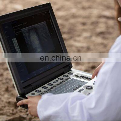 High Quality Products Veterinary Ultrasound Portable Full Digital Beam-former Diagnosis & Injection Seamaty 6.0kg SD1