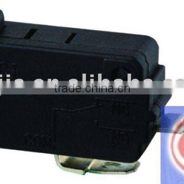 2010 Micro Switch