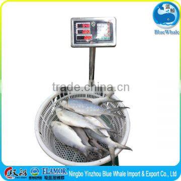 Milkfish protein Protein-rich Protein-rich seafood share