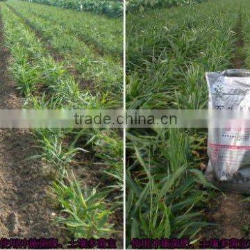 Biological Fertilizer for Potassium and Phosphate Dissolving
