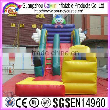 Carton Character Inflatable Dry Slide For Sales photo-2