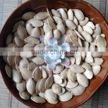 High Quality Wholesale Shine Skin Pumpkin Seeds photo-5