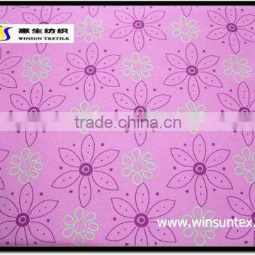 Ski Wear Fabric