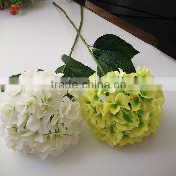 White House Plants Hydrangea for Wedding photo-2