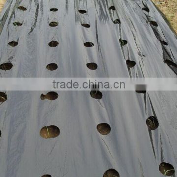 LDPE Perforeted functional Mulch Film