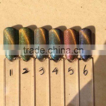 2 Functions uv Gel Chameleon and Cat's Eyes 12pcs /set Nail Polish photo-3