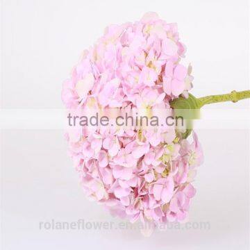 For Birthday Decoration Cheap Natural Hydrangea Latex Hydrangea From Yunnan, China photo-4