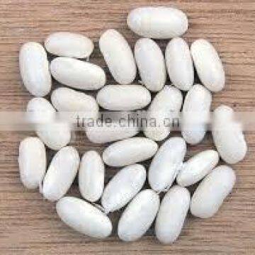 CHINA white kidney beans type with good quality for sale