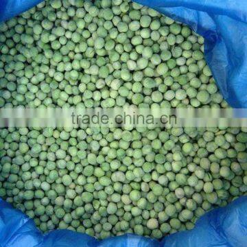 China Good Price IQF Frozen Green Peas