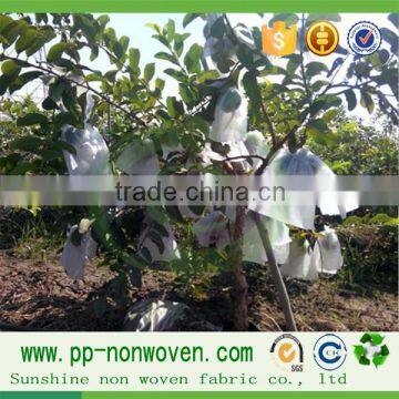Sunshine pp Agricultural Nonwoven With UV Treated for Fruit Cover