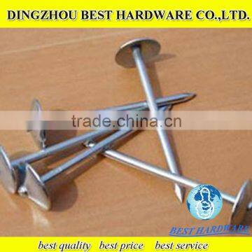 galvanized zinc coated roofing nails with umbrella head