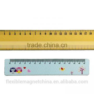 Magnetic Ruler