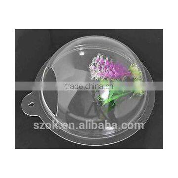 customized clear acrylic round shape wall hanging fish tank factory promotion