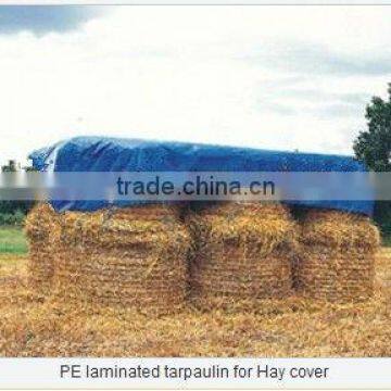 Hot sale both sides laminated PE tarpaulin in roll & in sheet