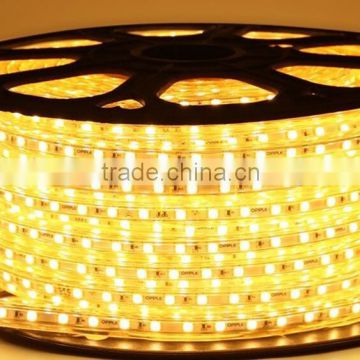 100m/roll 5050 led strip light 220-240v