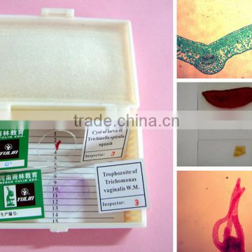 biological glass prepared microscope slides for Indonesia