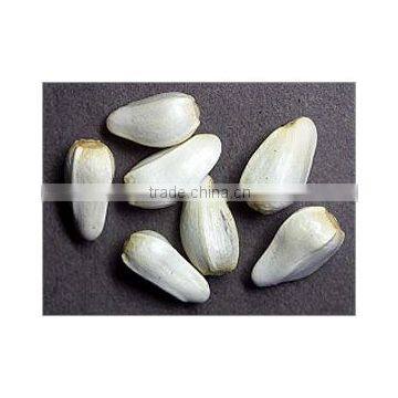 Safflower Seeds