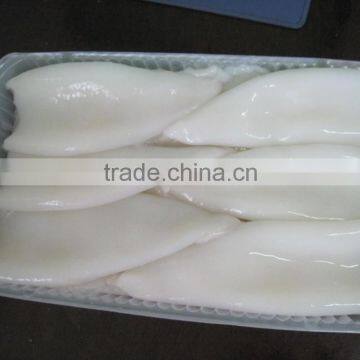 Frozen Squid Carving photo-4