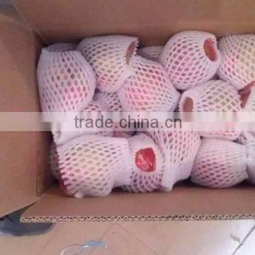 Fresh Pomegranate for Sales photo-3