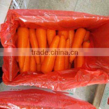 Chinese fresh carrot price