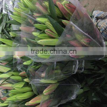 Fresh Cut Flowers Multi Stem Lily Flowers