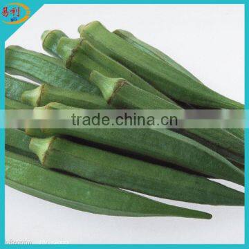 Supply frozen okra from Chinese supplier