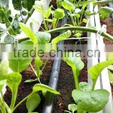 Hydroponic Gully for Large Crops photo-5